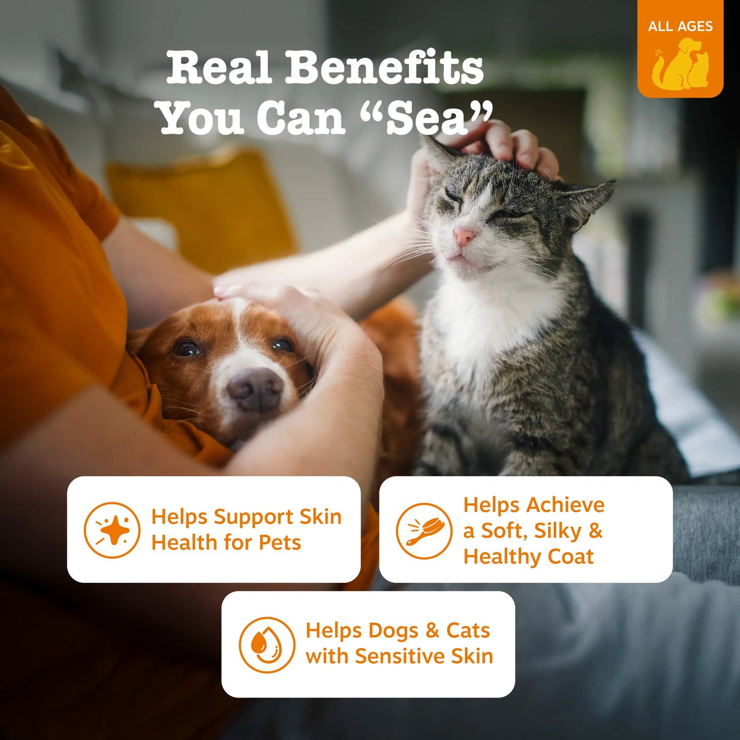 Transform Your Pet’s Dry, Itchy Skin into a Silky, Brilliant Shine in Weeks