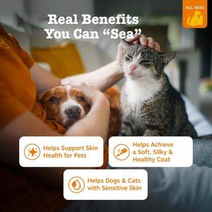 Transform Your Pet’s Dry, Itchy Skin into a Silky, Brilliant Shine in Weeks