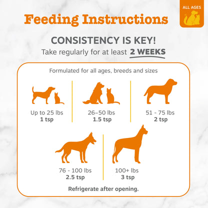 Transform Your Pet’s Dry, Itchy Skin into a Silky, Brilliant Shine in Weeks