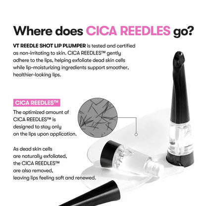 Get Your Dream Pout in Seconds: The Viral Microneedle Lip Plumper
