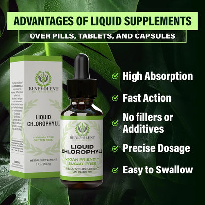 Feel Fresher From The Inside Out With Liquid Chlorophyll Drops