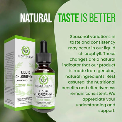 Feel Fresher From The Inside Out With Liquid Chlorophyll Drops
